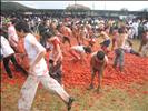 Tomatina Festival